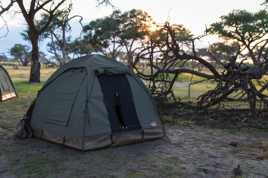 Camping i Okavango Deltaet