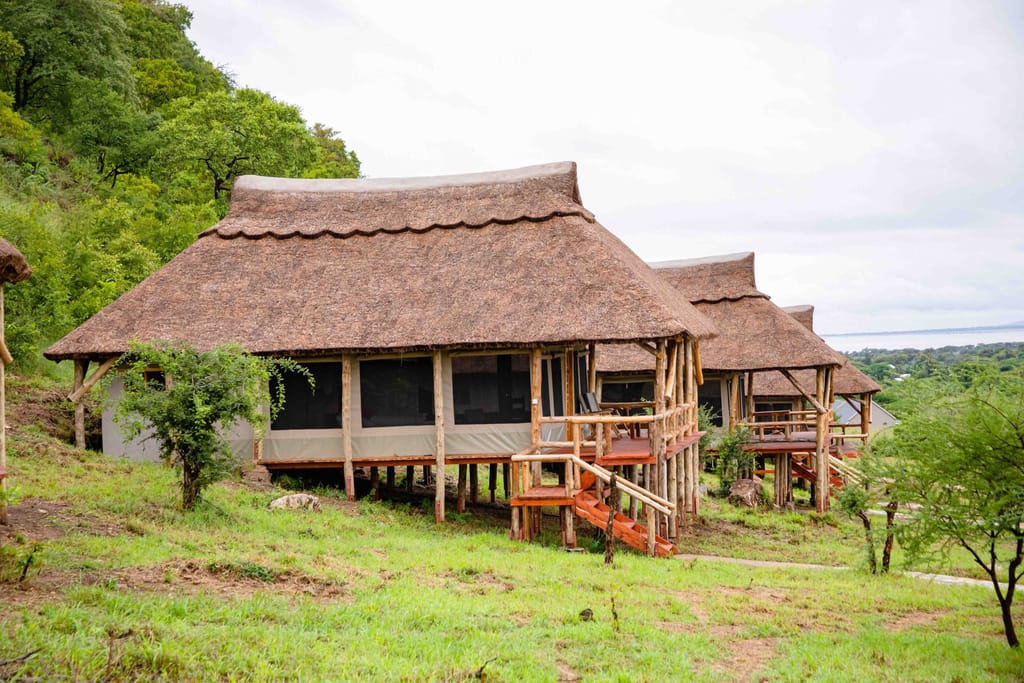 Sangaiwe Mbuyu Tented Lodge
