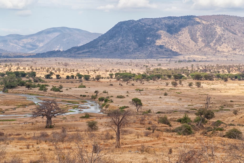 Ruaha