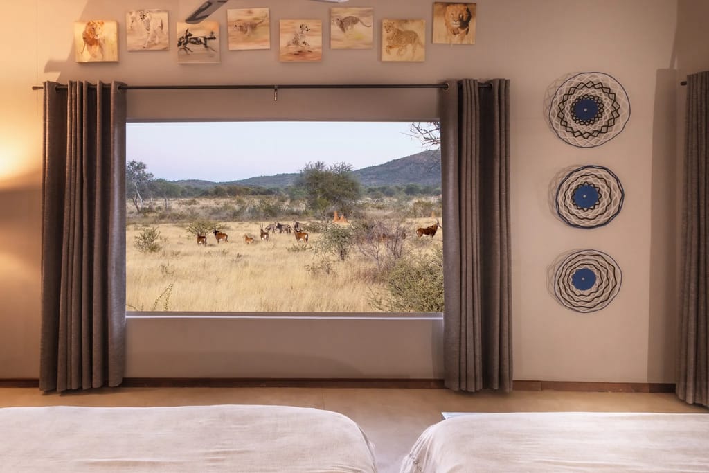 Okonjima Plains Camp