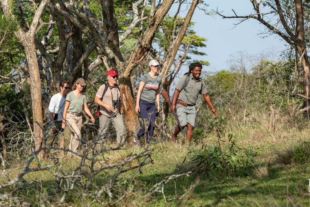 Walking Safaqri i Hluhluwe