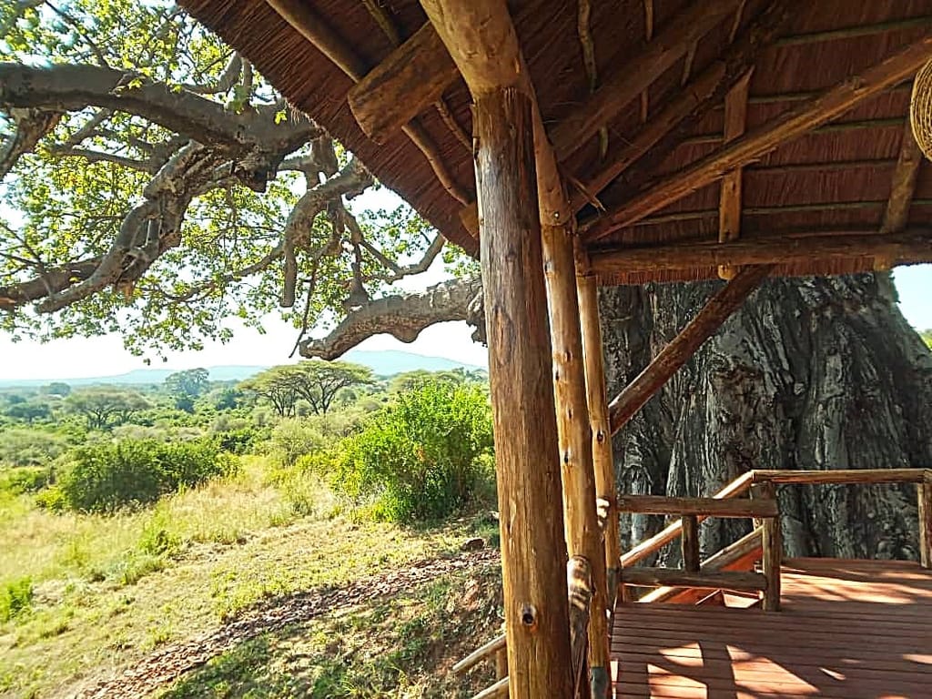 Sangaiwe Mbuyu Tented Lodge