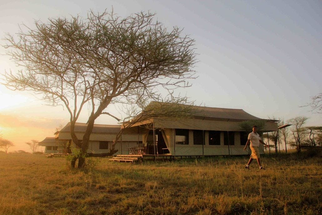 Serengeti Hippo Trails Camp