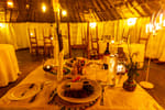 Mbweha Camp