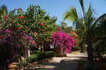 Bella Donna Hotel