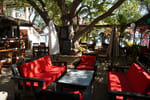 Bella Donna Hotel