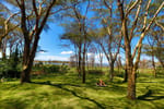Lake Naivasha Country Club