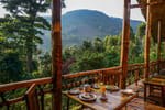Mahogany Springs Lodge