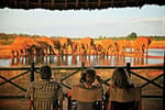 Voi Wildlife Lodge