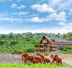 The Ark Lodge