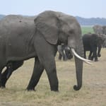 IMG_1833