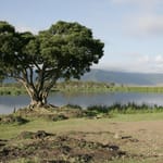 so i krateret ngorongoro dag 6