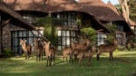 Lake Naivasha Sopa Lodge