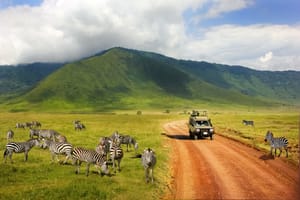 Safarikørsel i Ngorongorokrateret i Tanzania