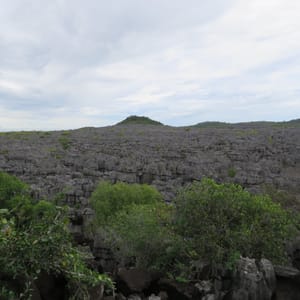 IMG_3365