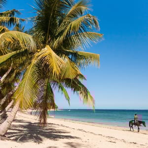 JumperOnTheBeachOfIfatySouthwesternMadagascar