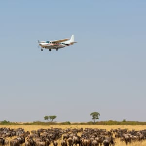 Savannefly over Masai Mara
