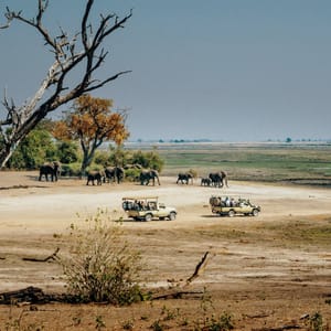 Safaribiler langs Chobe floden