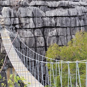 AnkaranaTsingyNationalParkInMadagascar
