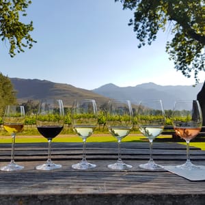 Vinsmagning i Stellenbosch Sydafrika