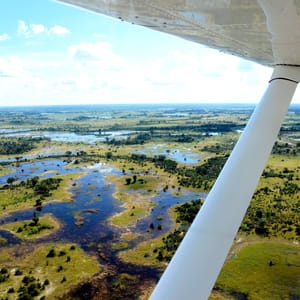Savannefly over Okavango Delta