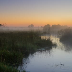 Tåge over Okavango Deltaet om morgen