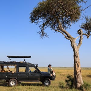 Safari bil under et træ i Masai Mara