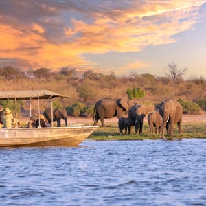 Bådsafari på Chobe Floden i Chobe Nationalparken