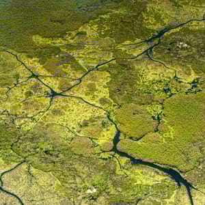 Panorama udsigt over Okavango Deltaet fra luften