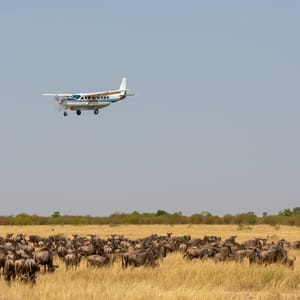 TheAirplaneIsFlyingOverTheAfricanSavannaThereIs