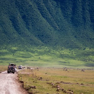 Safaribiler i Ngorongoro Nationalparken