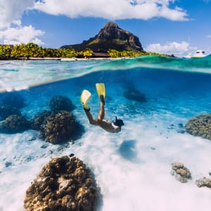Gæsten der snorkler i Mauritius