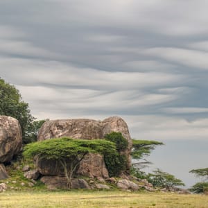 Kopje med dramatisk skyer i Ndutu Conservancy Tanzania