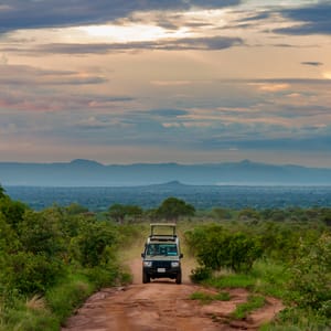 Safaribil i Tarangire Nationalparken i Nordlige Tanzania