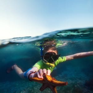 Snorkletur på Zanzibar