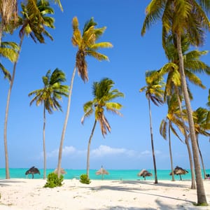 Flotte strand med hvide sand og palmer på Zanzibar