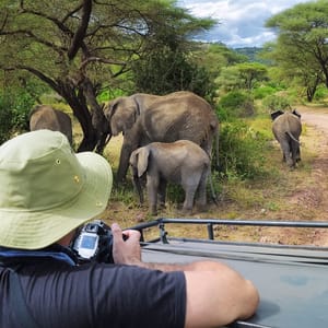 Safaribiler i Lake Manyara Nationalparken Tanzania