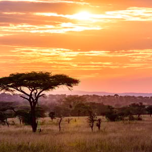 Solnedgang over Savanne i Greater Kruger