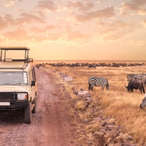 Safaribil i Serengeti Nationalparken med migration