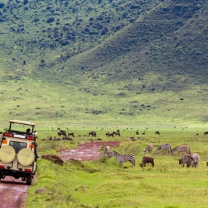 Safaribil i Ngorongoro krater med Zebra og Gnuer i baggrund