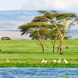 LakeNaivashaInKenyaAfrica