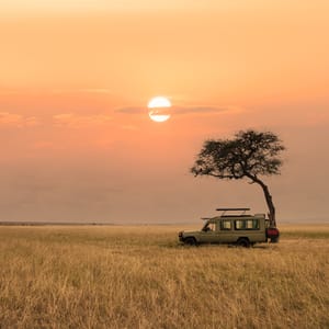 MaasaiMaraNationalReserveKenyaJuly2022-SafariTourist