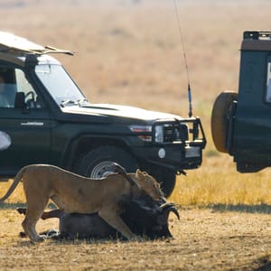 MasaiMaraNationalParkKenya-20July2010Tourists