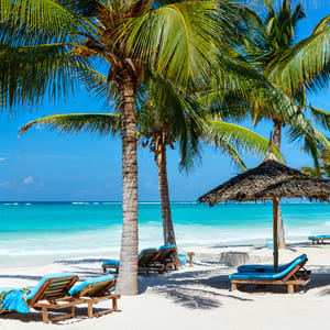 BeachBedsAmongPalmTreesAtPerfectTropicalCoast