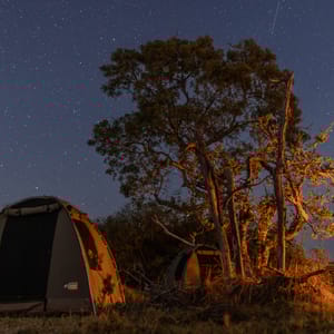 Aften i Campen Bushways