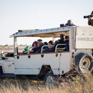 Åben Safari Bil i Botswana på fuld serviceret camping