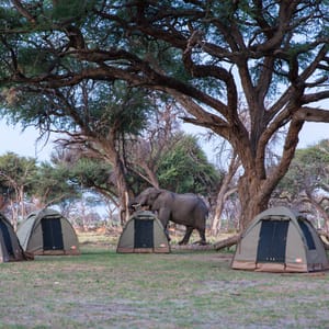 Campingplads i Botswana