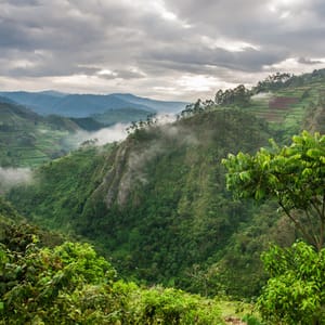 Bwindi Impenetrable Forest Nationalparken landskab