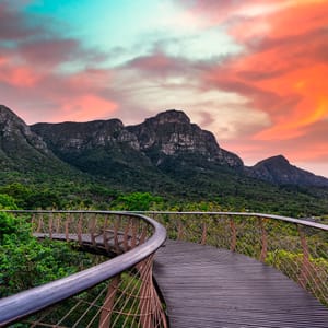 Kirstenbosch Canopy walkway med solnedgang