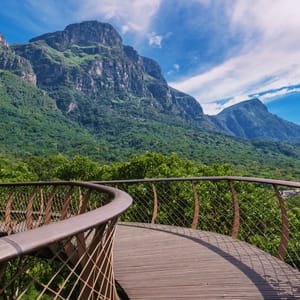 Udsigt fra Boardwalk i Kirstenbosch Botanisk Have